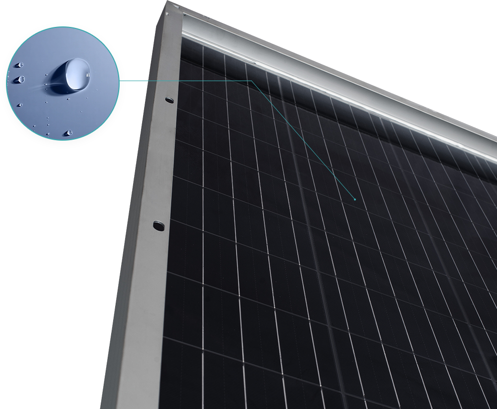 ��������VI-��Ʒ��ֵ������!