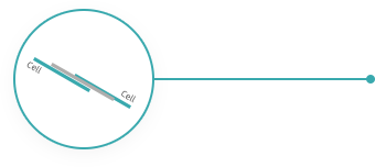 ��������VI-��Ʒ��ֵ������!